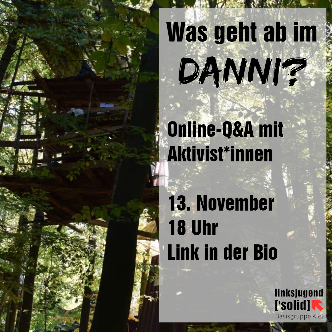 Bild eines Baumhauses - Online Q&A mit Aktivisti aus dem Danni